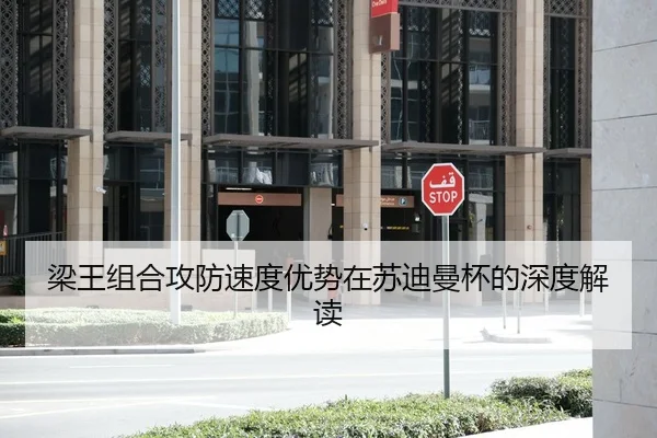 梁王组合攻防速度优势在苏迪曼杯的深度解读