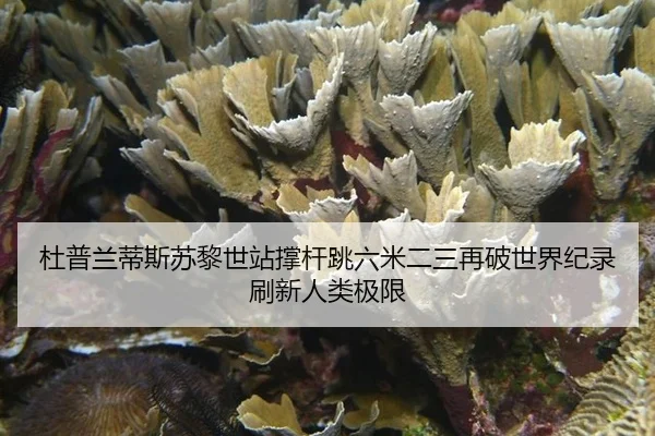 du-pu-lan-di-si-su-li-shi-zhan-cheng-gan-tiao-liu-mi-er-san-zai-po-shi-jie-ji-lu-shua-xin-ren-lei-ji-xian-2-405.jpg