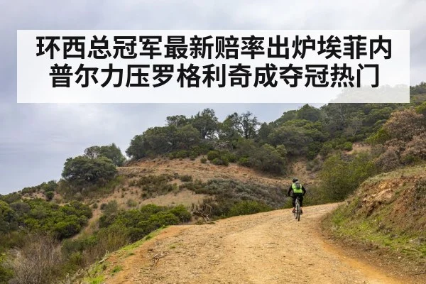环西总冠军最新赔率出炉埃菲内普尔力压罗格利奇成夺冠热门